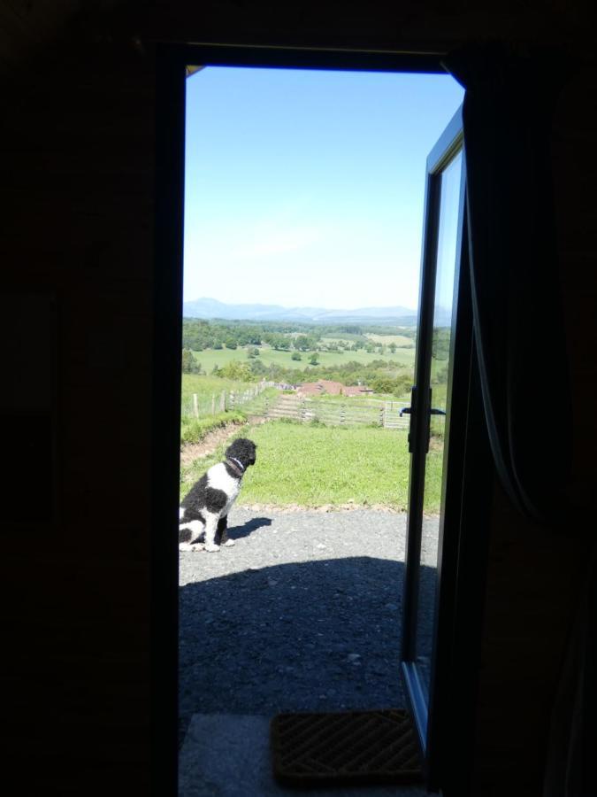 The Arns Glamping Pods Hotell Bridge of Allan Eksteriør bilde